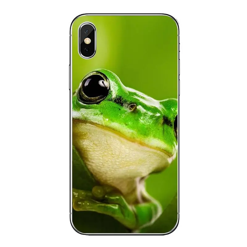 For Samsung Galaxy A5 A6 A7 A8 A9 J4 J5 J7 J8 2017 2018 Plus Prime TPU Transparent Shell Covers Frogs A rainbow frog Green Print |