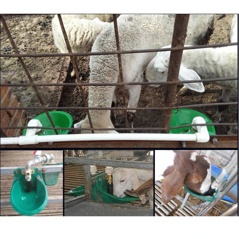 Автоматический дозатор воды для овец из козы и меди свиней ферм|pig water|sheep watererswater
