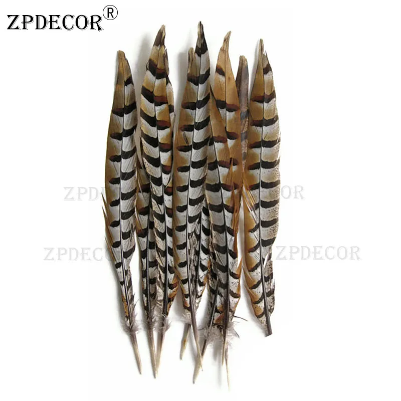 Inch 18-20 45-50CM Reeves Venery Pheasant Tail Feathers