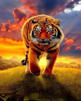 Diamond Painting tiger Cross Stitch diamond Landscape mosaic diamonds wall stickers home decor Unique gift | Дом и сад