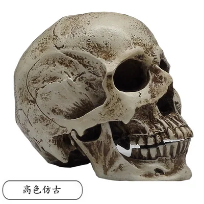 1:2 human muscle skull models Medical teaching and painting reference teaching AIDS free shopping
1:2 human muscle skull models Medical teaching and painting reference teaching AIDS free shopping