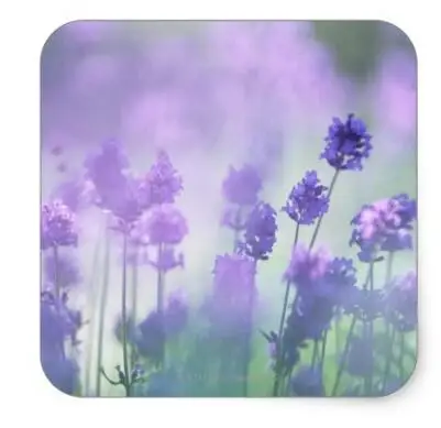 

1.5inch Laender 2 square sticker