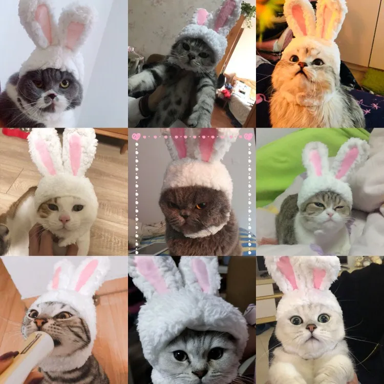 Смешная собачка костюм капитана кота теплая шапка кролика новогодние вечерние