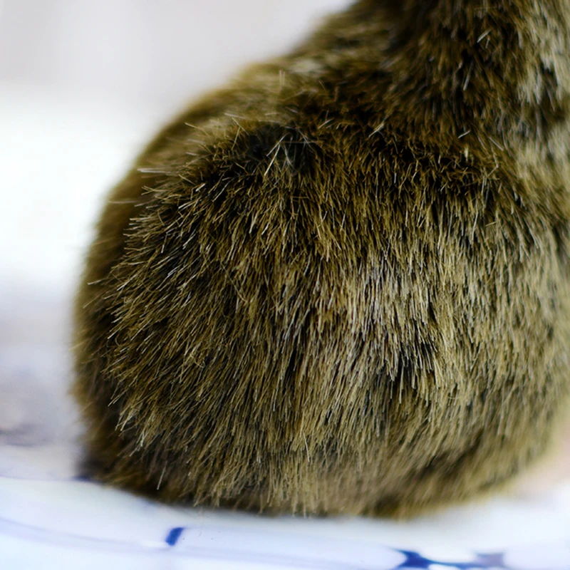 

Toy Collection Brown Kiwi New Zealand Kids Plush Toys Simulation Lovely Baby Gifts Kawaii Lifelike Stuffed Animals Dolls Apteryx