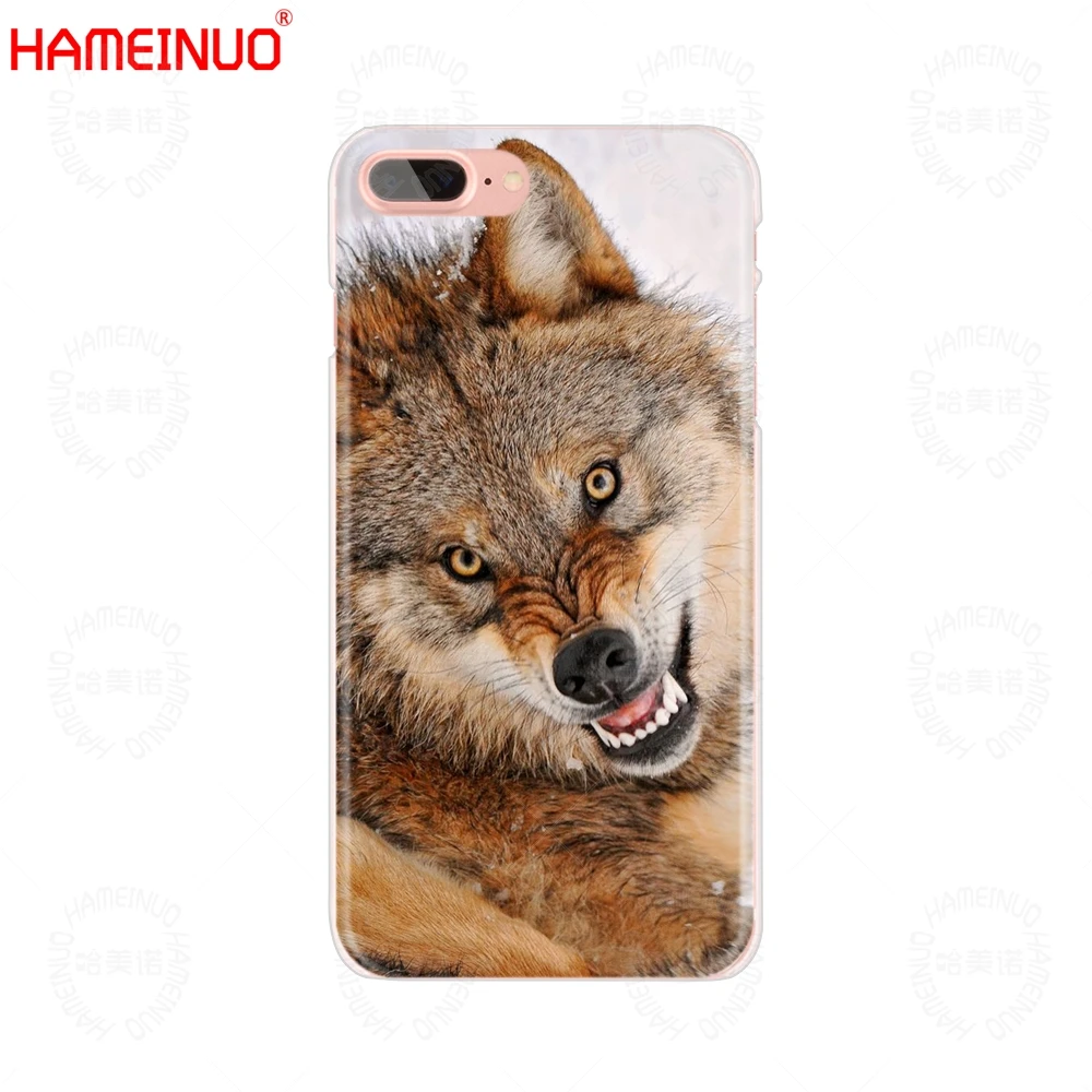 Животным волком жесткий пластиковый чехол для телефона iphone X 8 7 6 4 4s 5 5s SE 5c 6s плюс 10