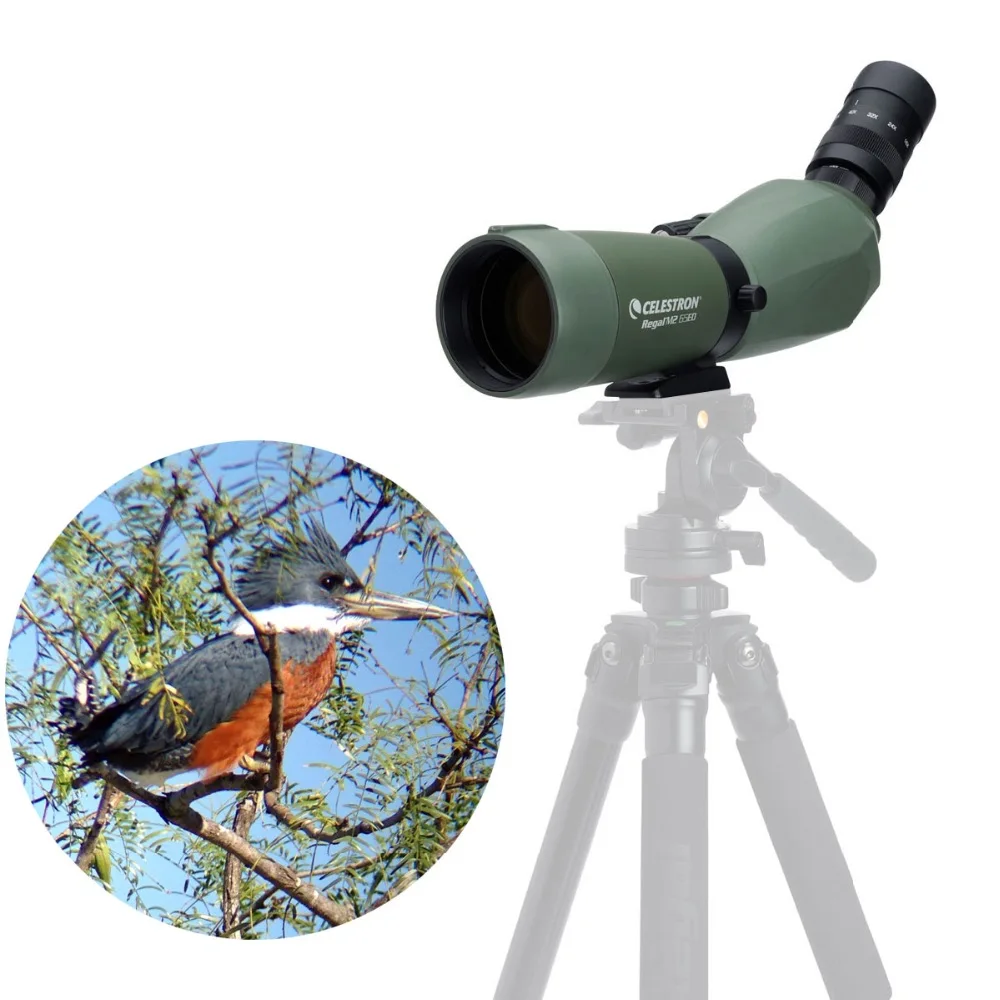 Celestron Regal M2 65 F ED 45 градусов 16x 48x зум Зрительная труба телескоп с многослойным