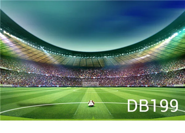 LB Vinyl Colorful Lights Association Football Pitch Decor Customized Background Backdrop Props Photography Studio Photo |