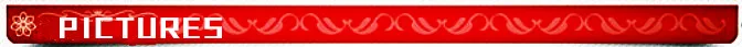 Позолоченный двойной контакт Origina TSOP48 к DIP48 адаптер TSOP48 разъем для RT809F RT809H и XELTEK USB программатор
