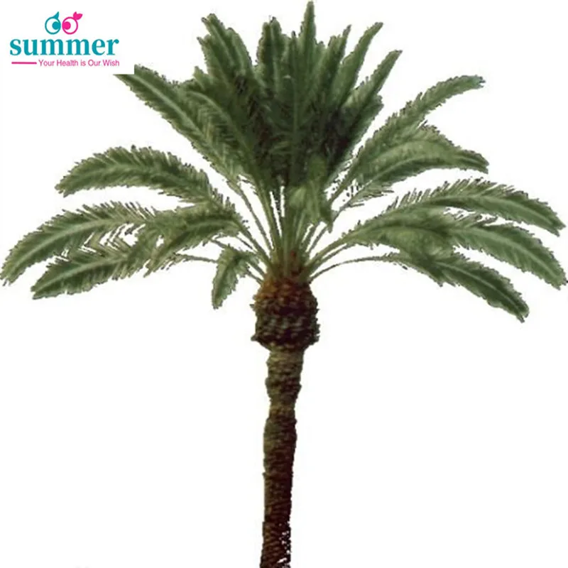 100-1000 г Pure Saw palmetto, Serenoa repens, sawpalmetto, Saw leaf коричневый, порошок экстракта сабаля для предотвращения и улучшения цистита
