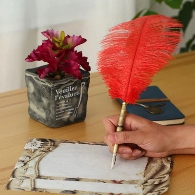 

natural ostrich colors feather Fountain Dip Pen set with Kraft free shipping