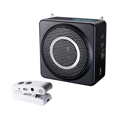 Takstar E260W 2 4G беспроводной портативный усилитель двойной динамик звуковой катушки