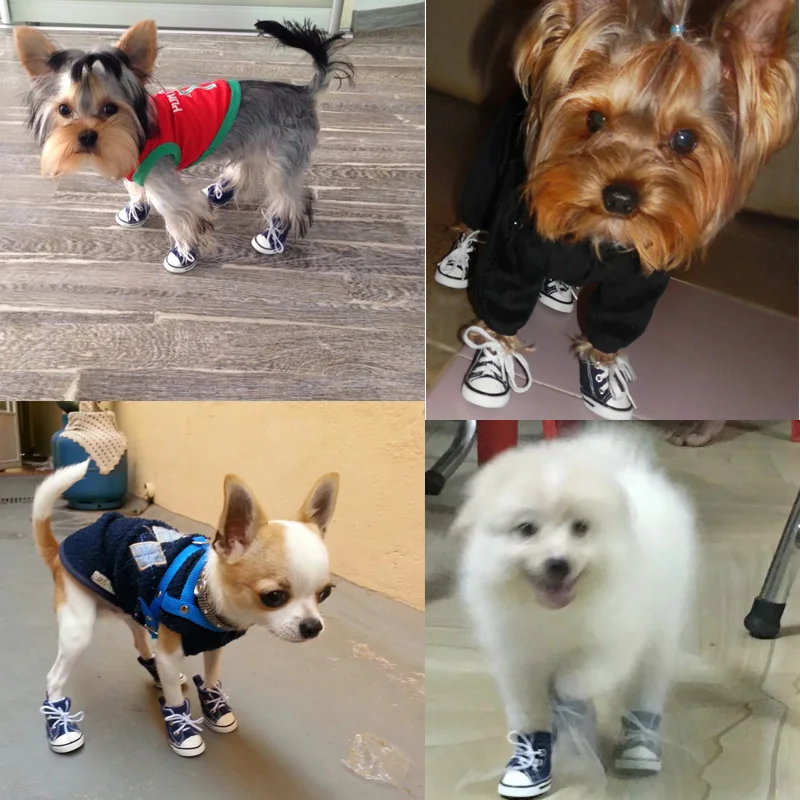 Новое поступление 2017 года 4pcs \ много Голубой щенок Джинсовка для собак обувь