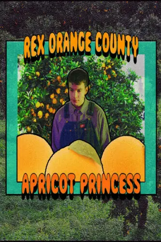 Q2306 плакаты и принты Рекс Orange County в стиле хип-хоп звезды поп-музыки художественный