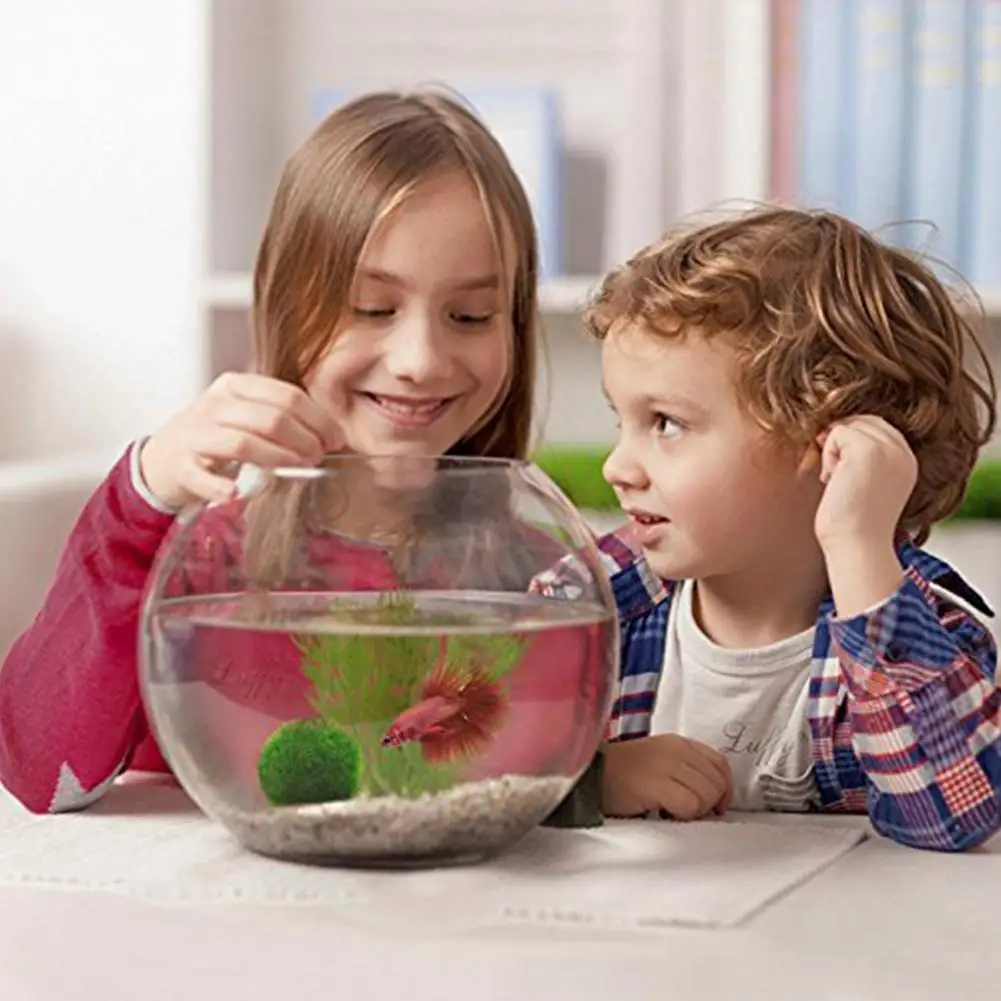 AsyPets Живой зеленый шарик из морской водоросли для украшения аквариума