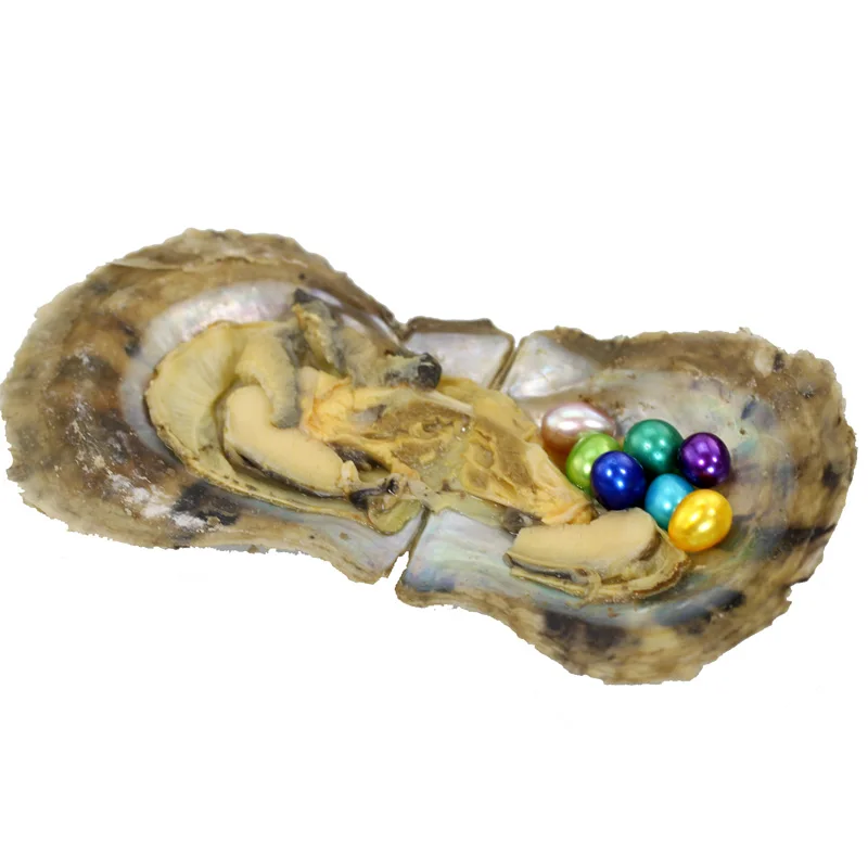 5pcs Vacuum Packed Oyster Fashion Saltwater Mini Monster with Multiple Pearls 3-10 Colored Rice Oval Akoya ABH834 | Украшения и