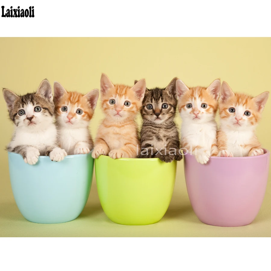 Алмазная вышивка 5D DIY алмазная живопись милые кружка с кошками мозаика Котенок pet