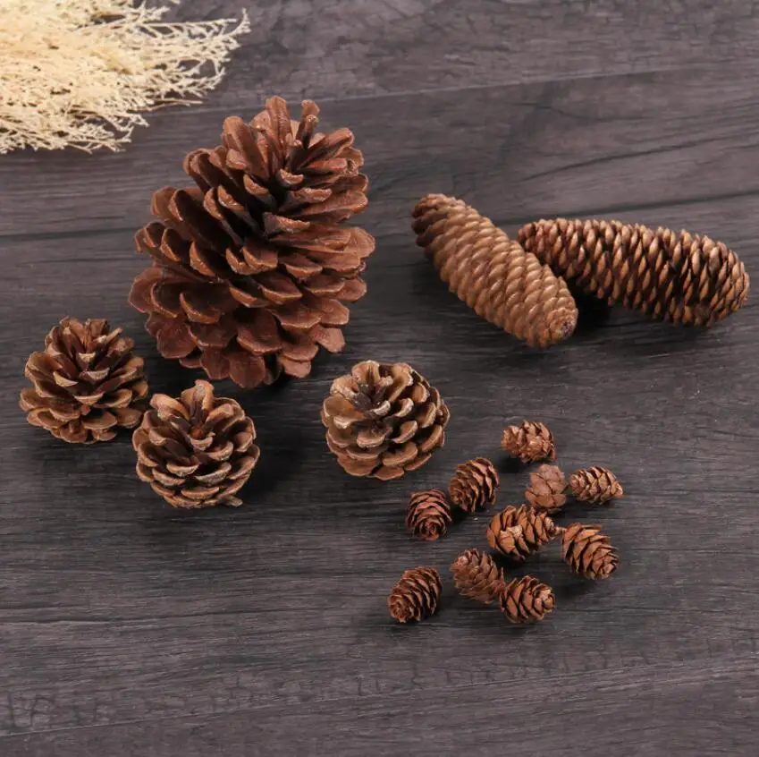 A Set Mixed Pine Cones Pinecones Forest Style For Photograph Home Wedding Party Hotel Venue Decoration Craft DIY
