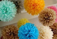 pom blooms flower balls 14 inch tissue paper pom paper lantern