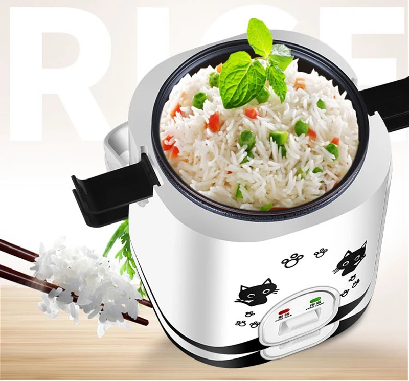 DMWD 110V/220V Mini Electric Rice Cooker Food Cooking Machine Eggs Meal Steamer Porridge Soup Stew Pot Heating Lunch Box Warmer