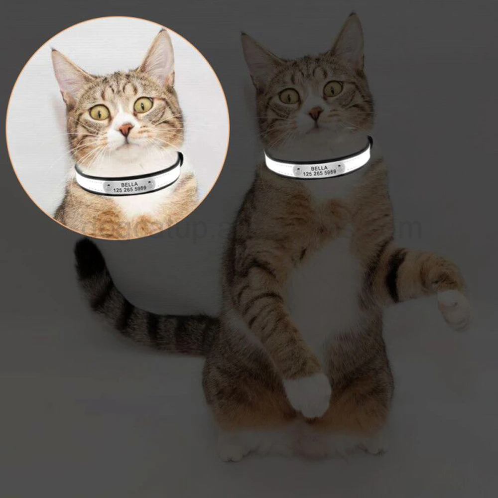 3 в 1 Выгравированный ошейник для кошки, светоотражающая идентификационная бирка для котенка, номерная табличка для телефона, ошейник для щенка, Очаровательная кожаная цепь для маленькой собаки, идентификационная бирка для питомца