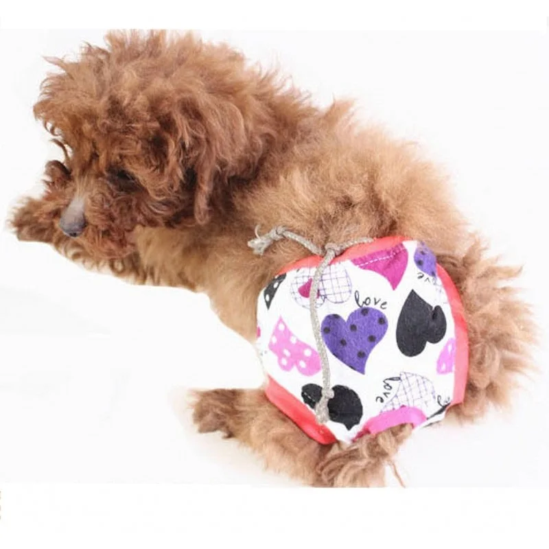 Физиологические штаны для питомцев нижнее белье милых собак антипритеснения