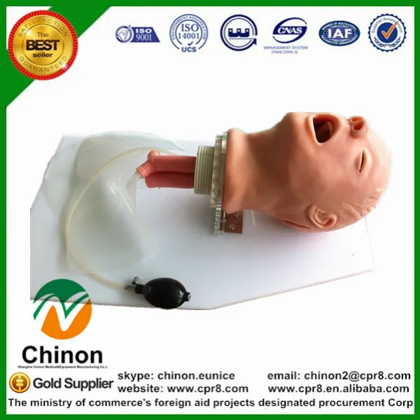 BIX-J50 Medical Skill Practice Classic Simulate Airway Intubation Training Manikin W055 | Канцтовары для офиса и дома