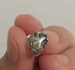 Regalrock анатомические человеческого сердца серьги гвоздики анатомии странности