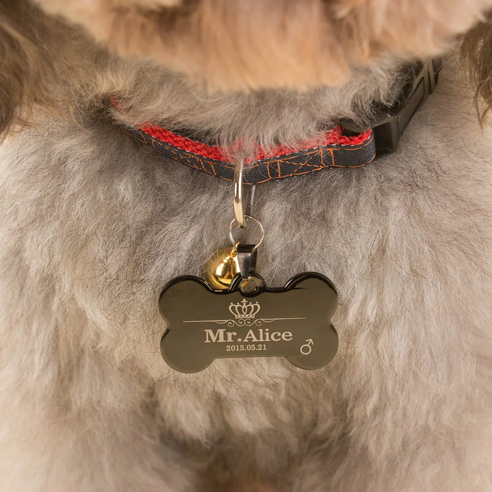 Бесплатная гравировка текста на передней задней стороне из нержавеющей стали Pet