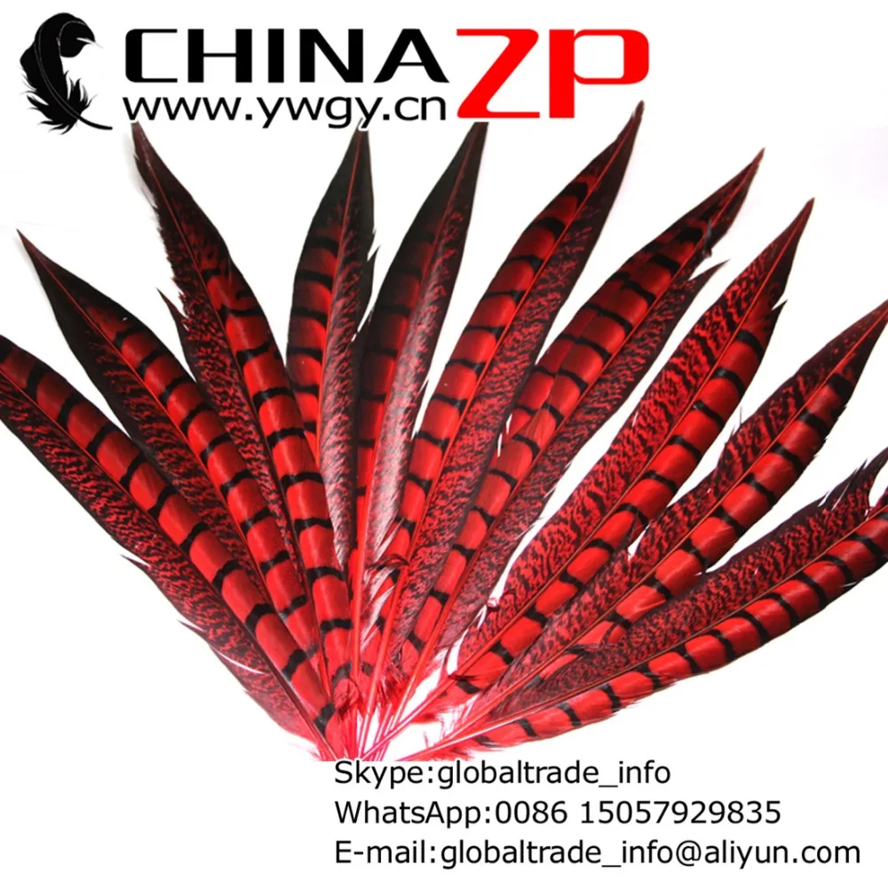 

CHINAZP Factory Retail and Wholesale 200pcs/lot Size from 12 inch to 14 inch Dyed Red Lady Amherst Pheasant Feathers