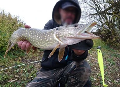 Esfishing Новинка Kauli Shad 135 мм 16 г 4 шт. плавающая приманка для рыбалки Мягкая наживка искусственная приманка isca Воблер для ловли карпа