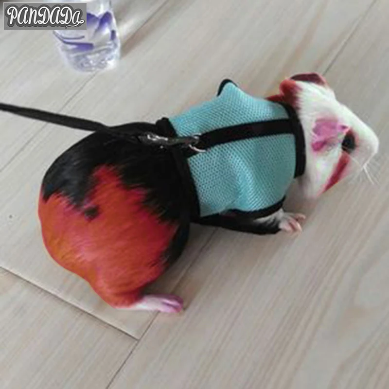 panDaDa Rabbit Harness Ferret Bunny Hutch Guinea Pig Collar Hamster Lead S/M/L 3 Colors | Дом и сад