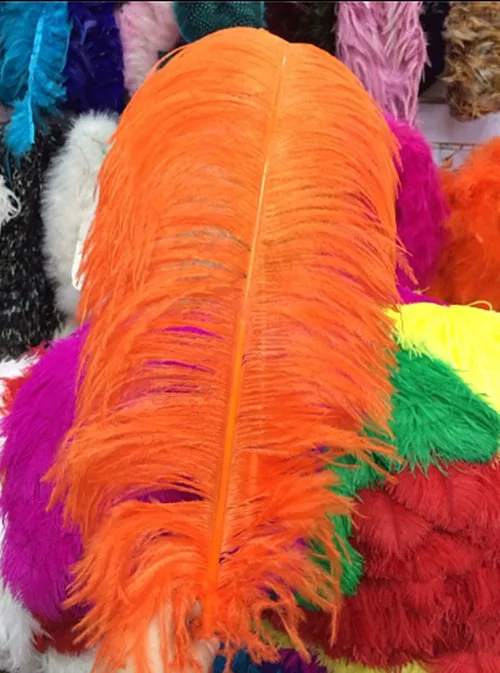 

New listing 10pcs manufacturers selling a selection of black ostrich feathers 24 ~ 26 inches 60-65 cm wedding dress