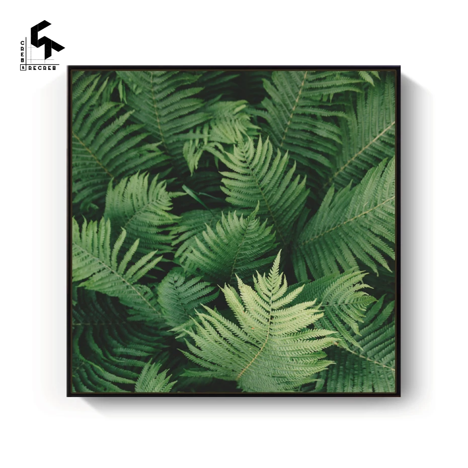 CREATE&ampRECREATE Nordic Poster Fern Leaf Posters And Prints Canvas Art Wall Painting Home Decoration Pictures CR1810110024 | Дом и сад
