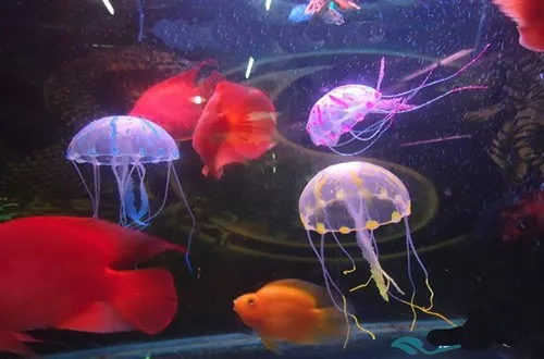 Яркая Медуза с эффектом свечения для аквариума украшение сада и бассейна|for