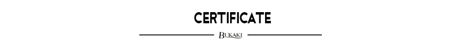 BUKAKI, 8 мл, блестящий неоновый гель для ногтей, полный набор, гель, маникюрный лак, блестящий цвет, для дизайна ногтей, нужен УФ светодиодная лампа, Гель-лак для ногтей, Vanish