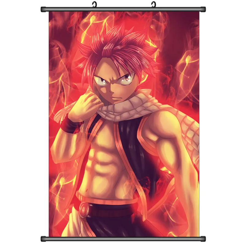 Японские декоративные картины аниме Фея хвост серый Fullbuster &amp Natsu Dragneel Heart filia