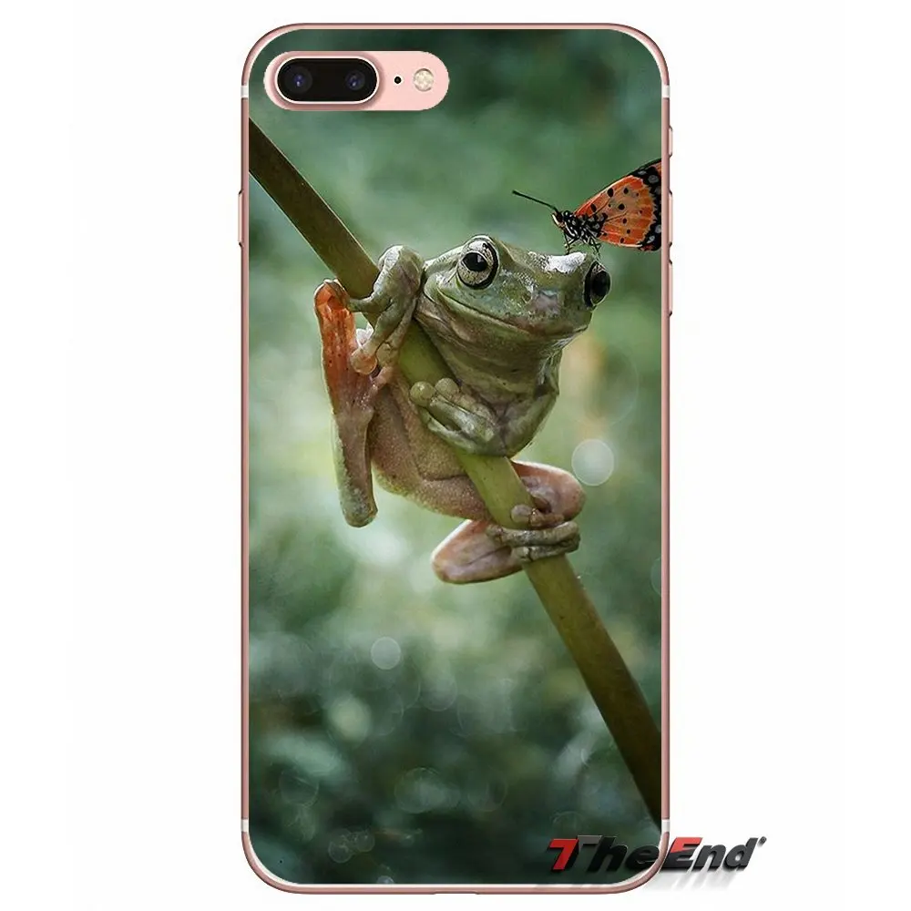 Силиконовый чехол для iPhone X 4 4S 5 5S 5C SE 6 6S 7 8 Plus Samsung Galaxy J1 J3 J5 J7 A3 A5 2016 2017 Frogs A rainbow frog Green