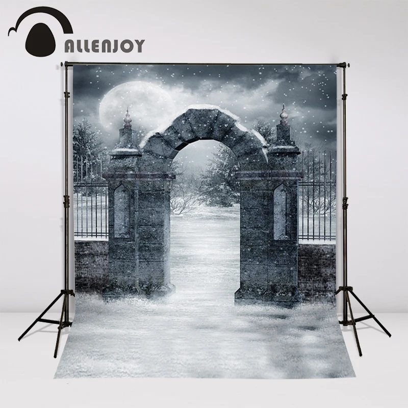 Allenjoy Vinyl photo studio Background Shek Mun Snow Halloween is ancient backdrops fotografia photographic paper | Электроника
