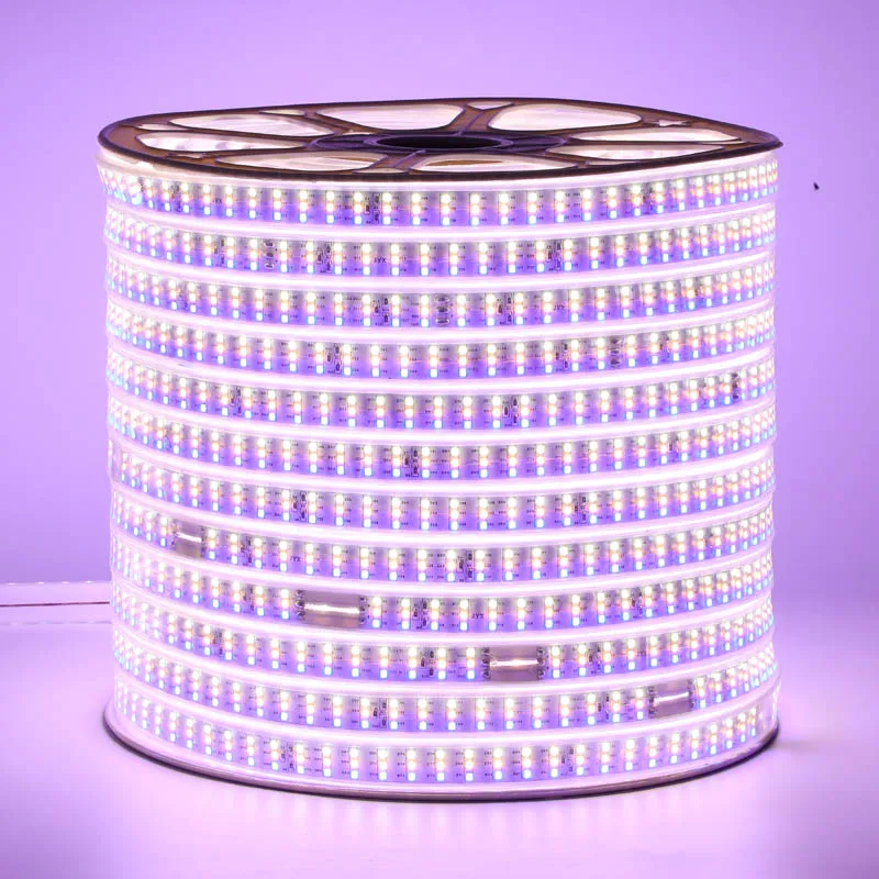 Светодиодная лента теплая белая синяя сменная SMD2835 высокая яркость 240 светодиодный s/m неоновые рождественские светодиодные световые полоски с вилкой питания Светильник ing - Испускаемый цвет: changeable