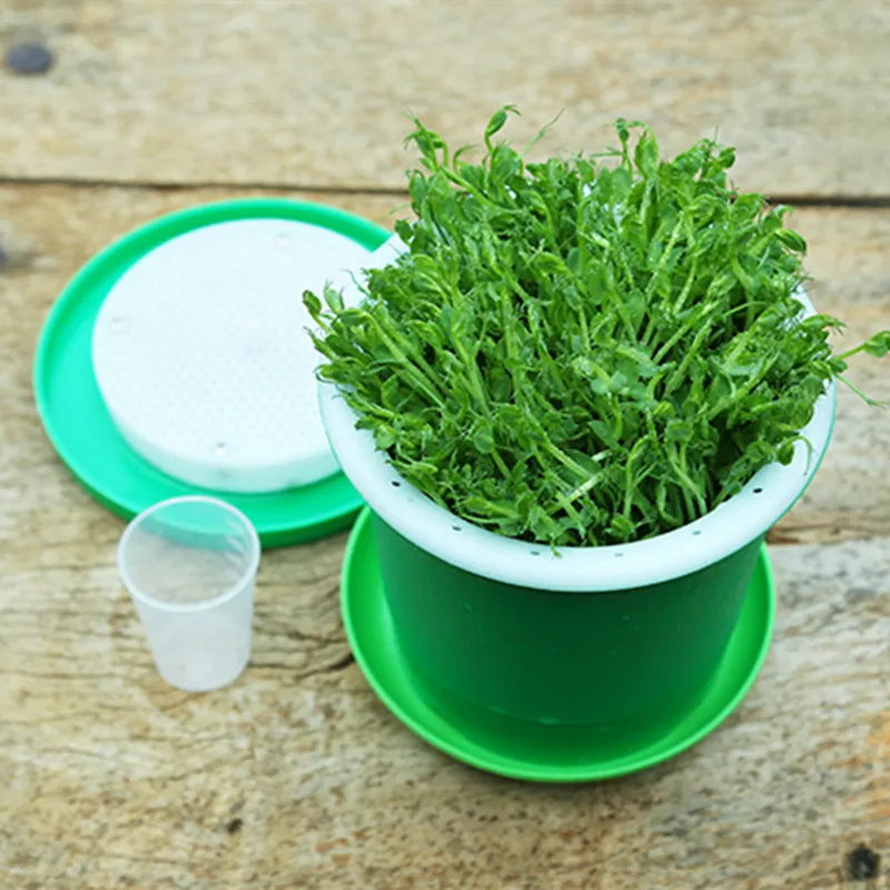 Поднос для саженцев гидропоника пластина рассады система гидропоники