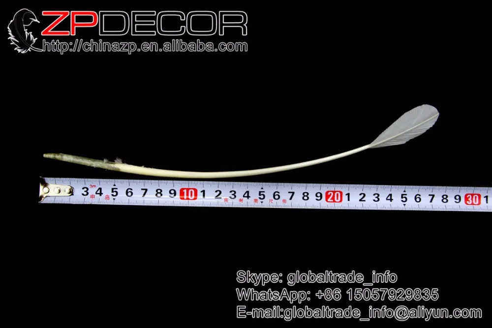 

ZPDECOR Hot Selling 50pieces/lot 30-35cm(12-14inch) White Bleached Stripped Turkey Pointer Quill Feathers for Ladies Wedding