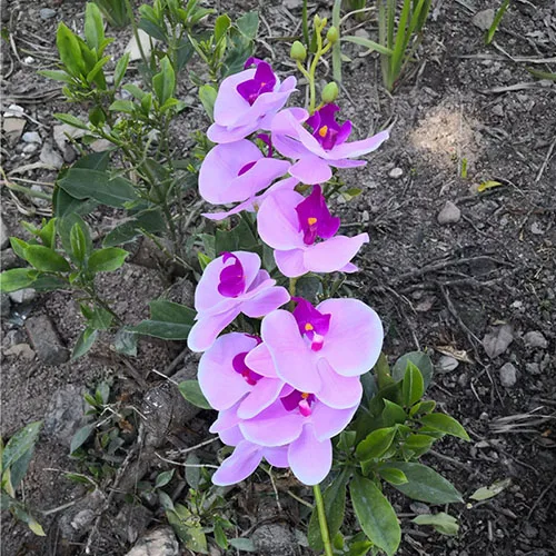 purple3 YO CHO Flores Artificiales 85 см 9 головок 3D искусственная Орхидея, Бабочка, цветы, настоящее прикосновение, домашний декор, фаленопсис для свадьбы, сделай сам - Цвет: purple3