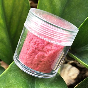 Watermelon pink 03 24 цвета, 10 мл/бутылка, Декоративный Лак, стекло, для ногтей, искусство, сделай сам, советы, дизайн, бархат, стекающаяся пыль, порошок, маникюр, бархатная пудра - Цвет: Watermelon pink 03