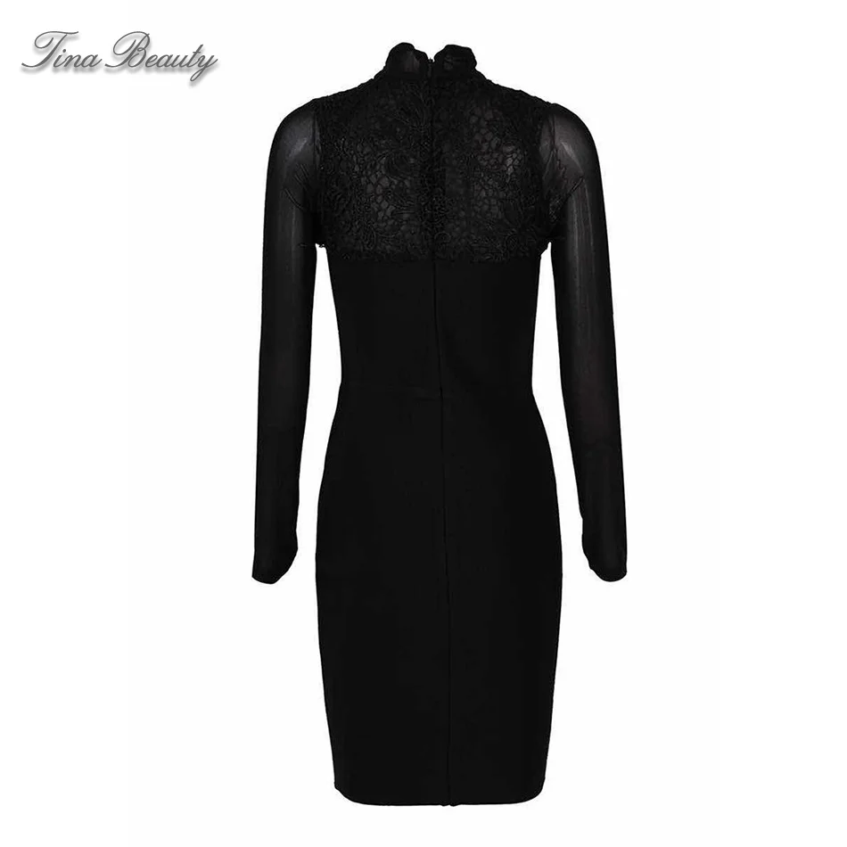 

Tina Beauty Black High Neck Long Sleeve Mini Sheer Mesh Sexy Bandage Dress Female Lace Embroidery Vestidos Verano 2019