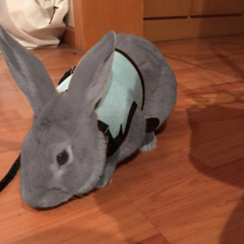 panDaDa Rabbit Harness Ferret Bunny Hutch Guinea Pig Collar Hamster Lead S/M/L 3 Colors | Дом и сад