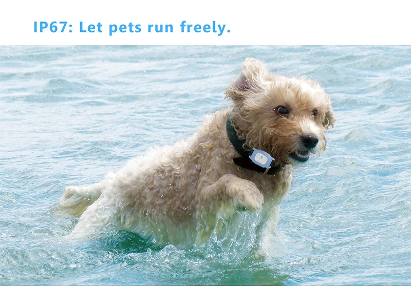 Смарт-Водонепроницаемый IP67 MiNi Pet gps в gps фунтов следящее устройство ошейник для собаки кошки на gps фунтов sms-позиционирование geo-загородка устройство слежения