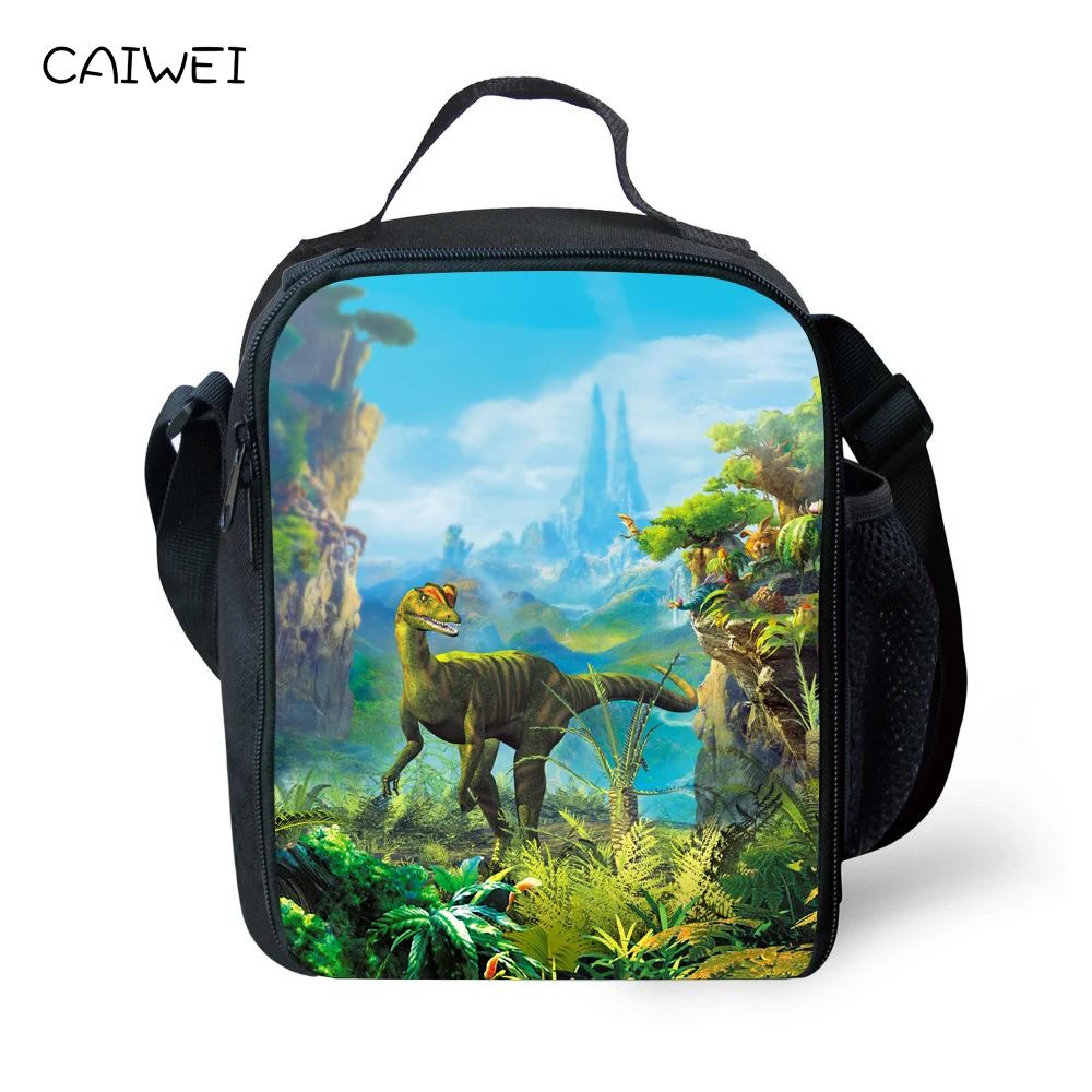 

Dinosaur Picnic Bag for Children Boys Cool Insulated Lunch Container Thermal Lunch Box bag with Shoulder Straps Mens Lunch Bags