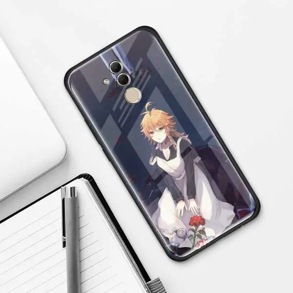 012 Чехол из закаленного стекла для huawei P30 Pro P10 P20 P30 Lite mate 10 20 Pro Honor 20 Pro 8X чехол s - Цвет: 012