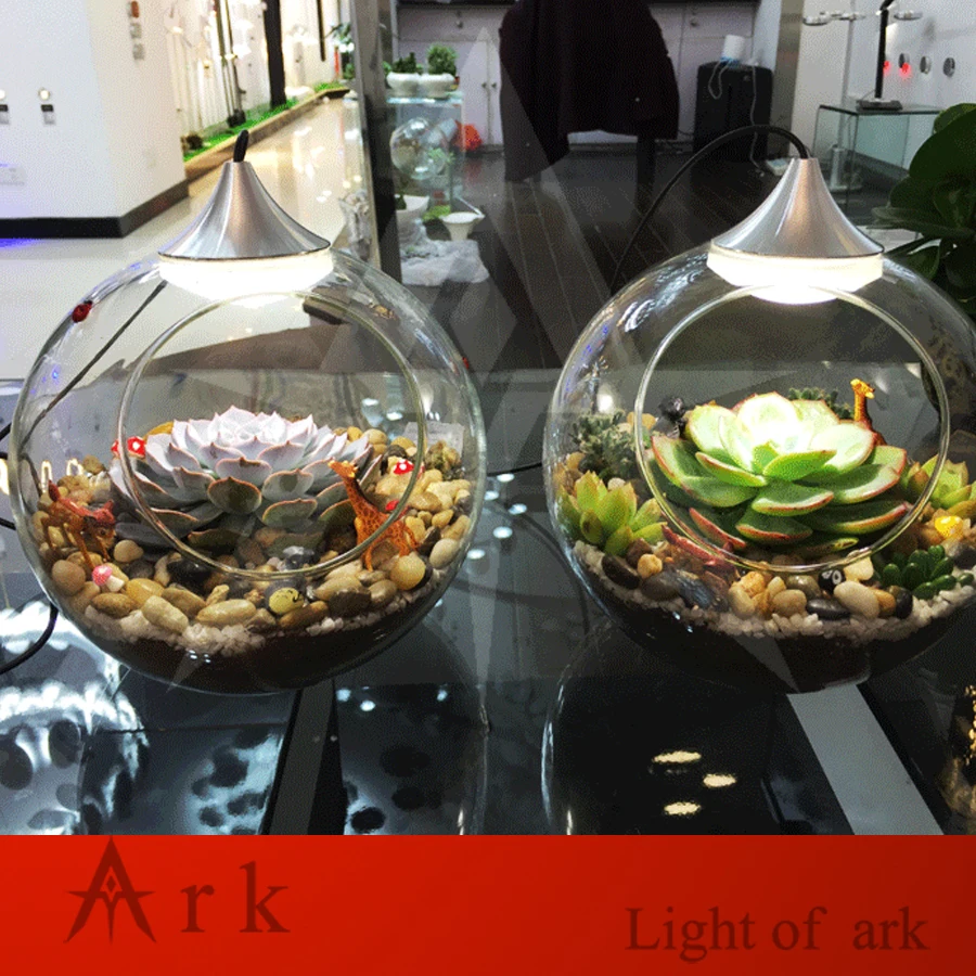 Ковчег свет DIY украшения миниатюрный стеклянный горшок Светодиодная настольная