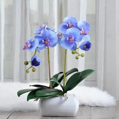 blue Настоящее прикосновение высокая имитация цветы фаленопсиса искусство искусственный костюм с орхидеей декоративные маленькие орхидеи Бонсай икебана orquideas - Цвет: blue